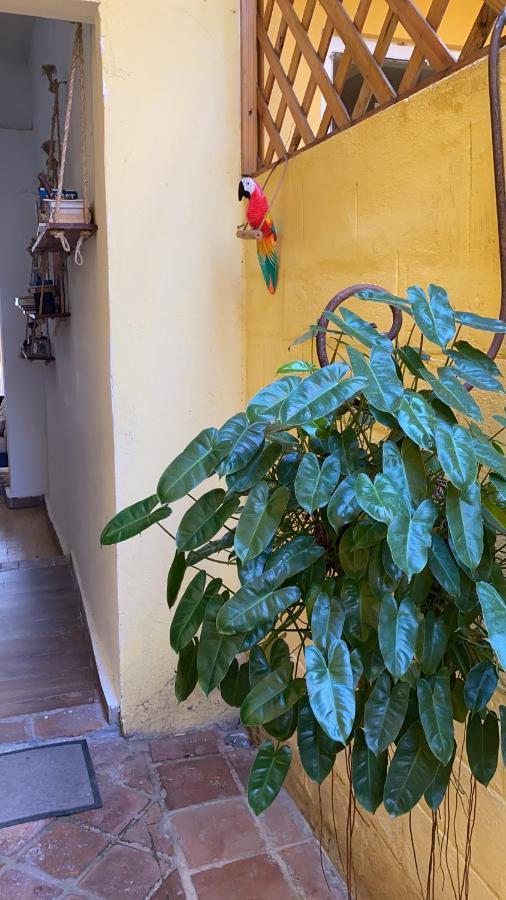 Chao Mama Hostal Santo Domingo Exterior photo